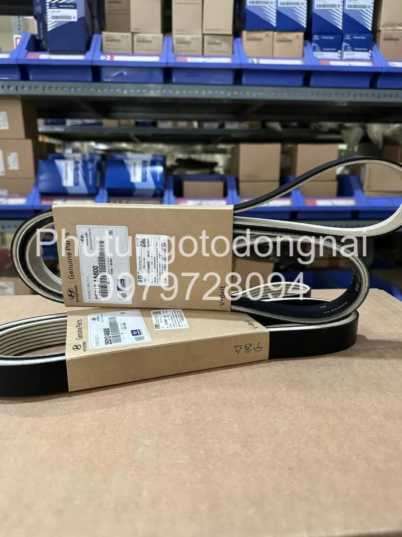 Phụ kiện 252124A600 dây đai tổng (curoa tổng)